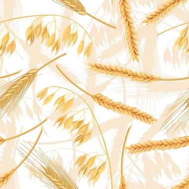 Buğday, arpa, yulaf ve çavdar seamless modeli. Dört hububat spikelets kulaklı. izole. 3D simge vektör. Tasarım, pişirme,