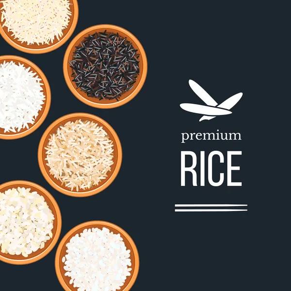 Diferentes tipos de arroz en platos y cuencos sobre fondo oscuro. ¡Arriba! Basmati, salvaje, marrón largo, arborio, sushi . — Vector de stock