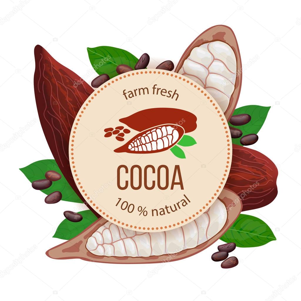 Ripe Cocoa pod fruit, beans and leaves around circle badge with text farm fresh 100 natural. Concept for logo, tag, advertising, prints, label, poster, perfumery, cosmetics, drinks, health care