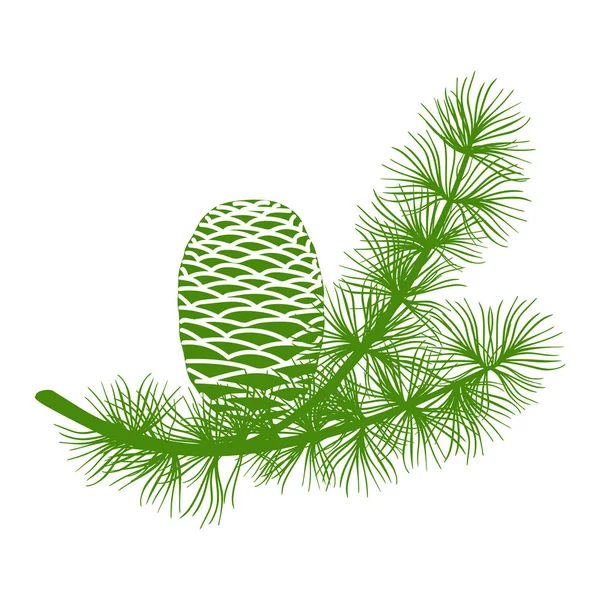 Rama de cedro verde esponjoso y dos conos. Aislado sobre ilustración vectorial blanca ilustración vectorial plana — Archivo Imágenes Vectoriales