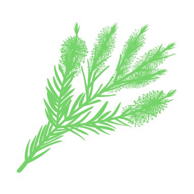 Çiçekli çay dalı. vektör illüstrasyonu