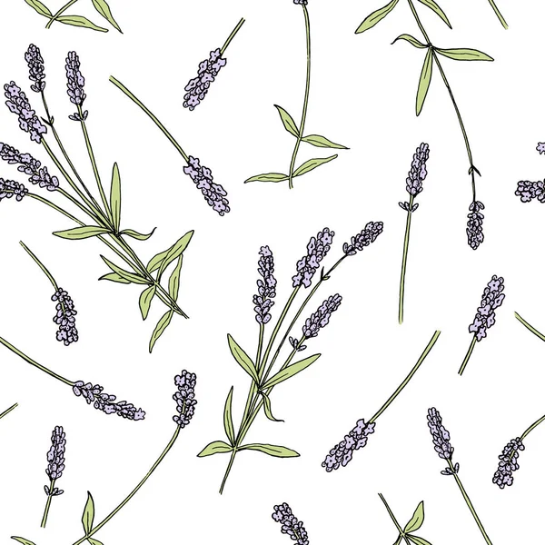 Lavendel bloemen gekleurde naadloze vector patroon schets stijl. Paarse Lavandula bloemen in bloei — Stockvector