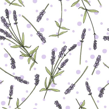 Lavanta çiçekleri renksiz vektör desenli çizim stili. Bir demet mor Lavandula çiçeği açmış