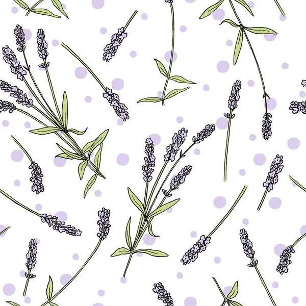 Flores de lavanda de color sin costura patrón de vectores estilo de boceto. Ramo de flores de Lavandula púrpura en flor — Vector de stock
