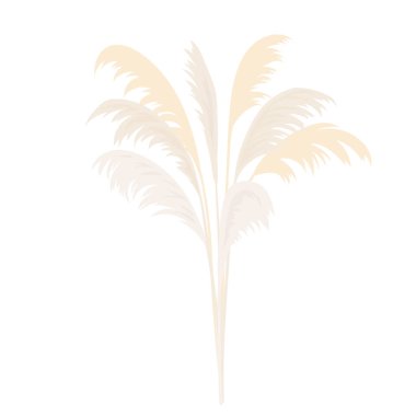 Gümüş Pampas çimen demeti. Kart kalıbı. kopyalama alanı. Vektör çizimi. Çiçeksel altın süsleme buketi.