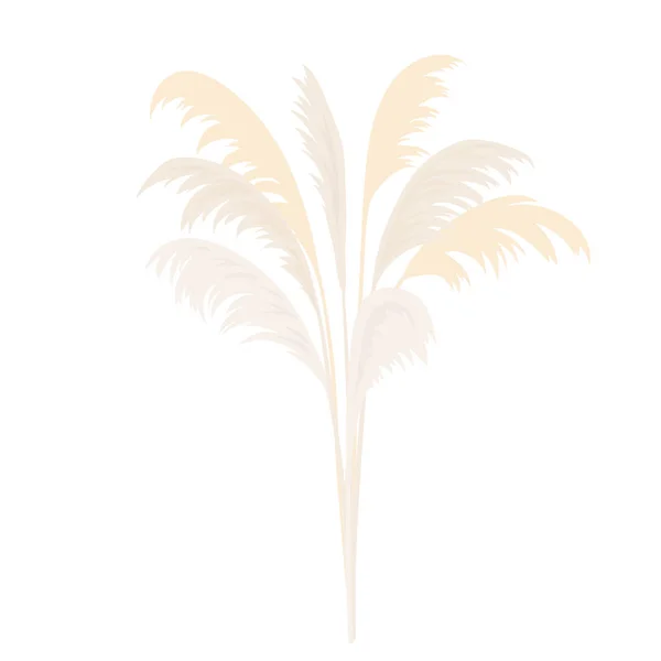 Silver Pampas grass sheaf. Card template. copy space. Vector illustration. Floral golden ornamental grass bouquet. — Stock Vector