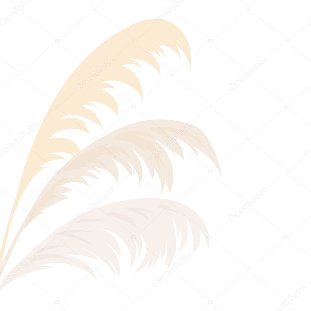 Silver Pampas grass Card template frame on the left with copy space. Vector illustration. Floral golden ornamental grass.