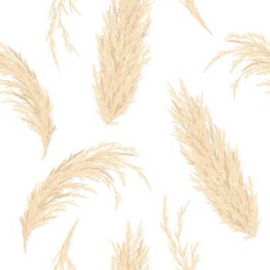Altın Pampa otları kusursuz vektör deseni. Gümüş panikli Cortaderia selloana. Çiçeksel süs çimeni