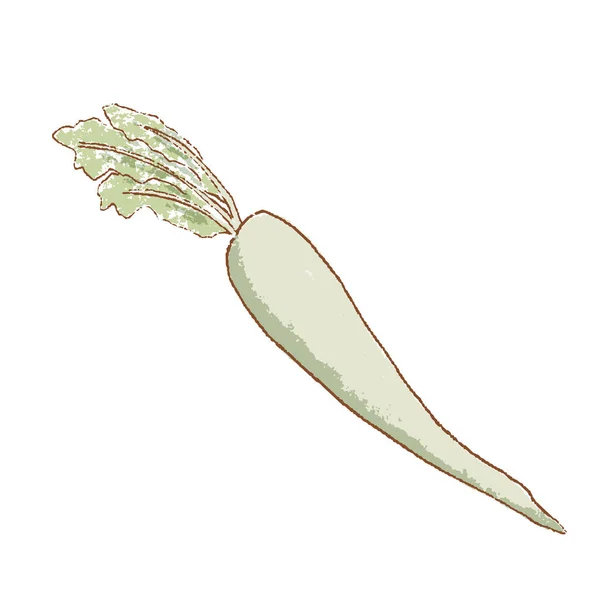 新鮮な生大根 馬の根の孤立したアイコン 春の珍しい 急ぐ農場市場ベクトルイラスト 手描きのヴィンテージスタイル料理のための人気の季節の生野菜 健康的なライフスタイル — ストックベクタ