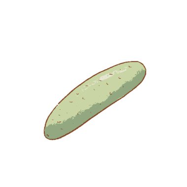 Taze çiğ yeşil salatalık sebze ikonu. Bahar Raripes 'ı. Hastings, çiftlik pazarı, vektör illüstrasyonu. El yapımı vintage,