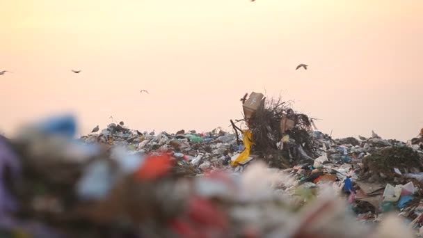 Tira al atardecer. Panorama — Vídeo de stock