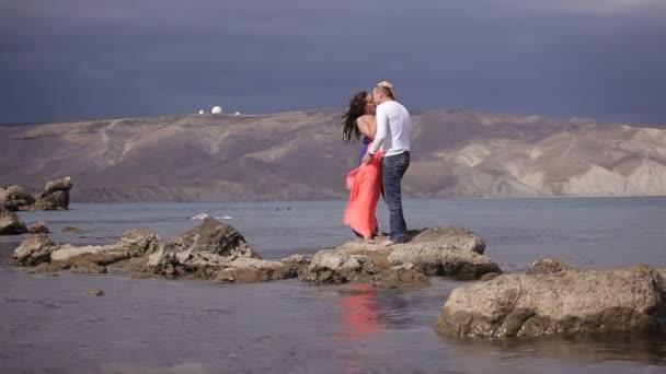 素晴らしい景色の背景上の恋人 — ストック動画