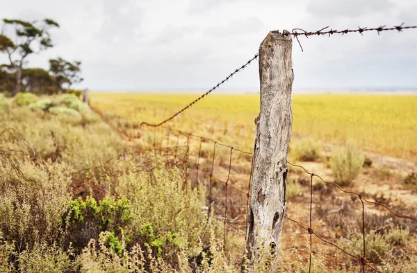 Granja agrícola Fenceline —  Fotos de Stock