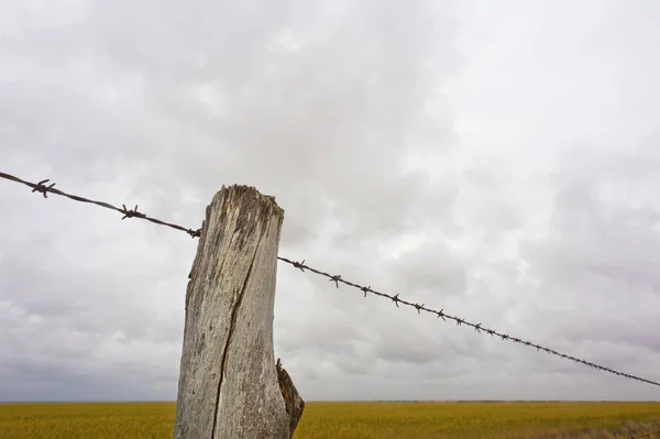 Línea de cerca de granja — Foto de Stock