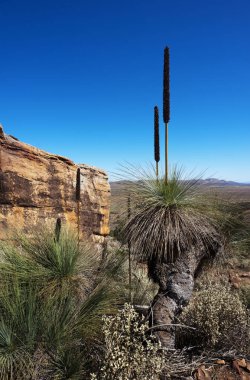 Avustralya manzara sahne