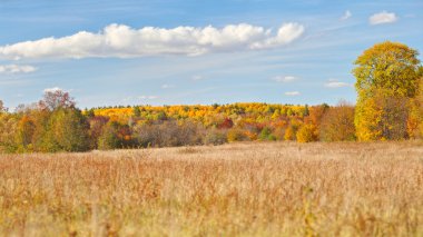 sonbahar güzel panoramik kırsal manzara
