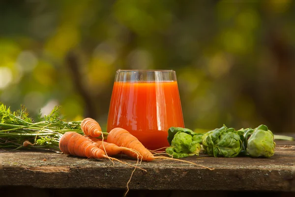 Succo appetitoso da carote e mele — Foto Stock