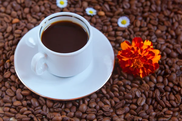 Kaffee Milch Draufsicht — Stockfoto