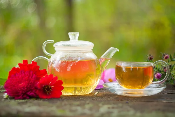 Grüner Tee in schöner Tasse — Stockfoto