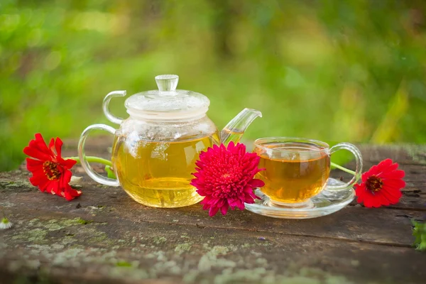 Zielona herbata w pięknym kubku — Zdjęcie stockowe