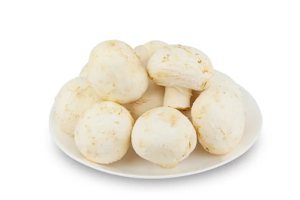 Deliciosas setas crudas en plato blanco sobre blanco —  Fotos de Stock