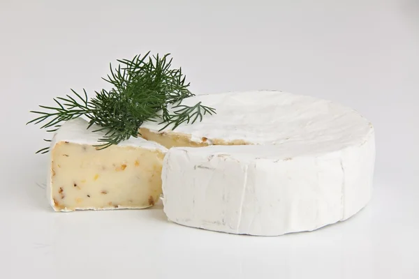 Queijo brie fresco com mofo branco sobre fundo branco — Fotografia de Stock