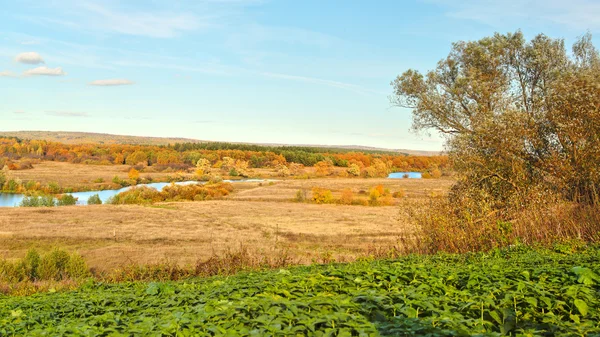 Autumn beautiful panoramic rural landscape — Stock Photo, Image