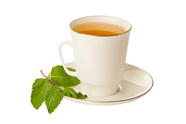 Вкусный горячий зеленый чай на белом — стоковое фото