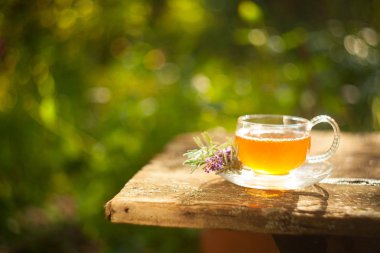 Güzel fincanda yeşil çay