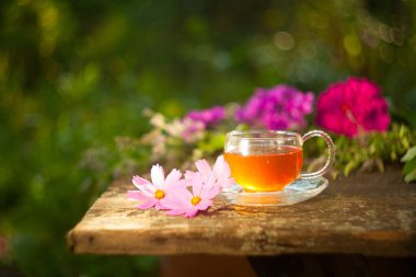 Güzel fincanda yeşil çay