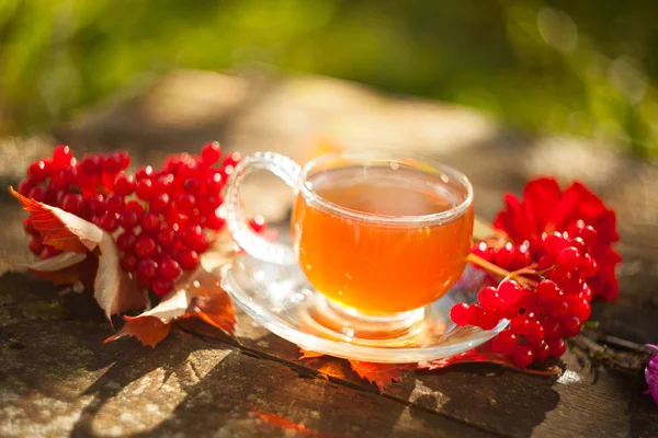 Green tea in beautiful cup — Stock Photo, Image