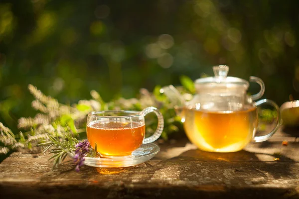 Güzel fincanda yeşil çay