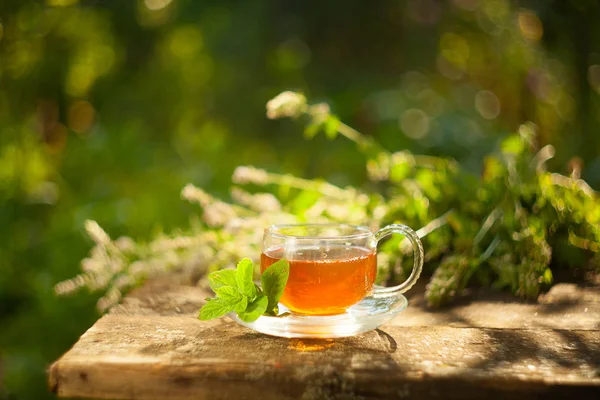 Güzel fincanda yeşil çay