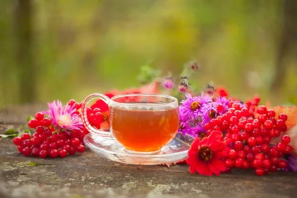 Tè verde in bella tazza — Foto Stock