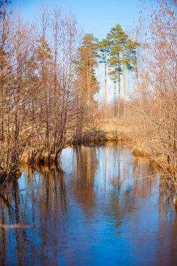 sonbahar güzel panoramik kırsal manzara