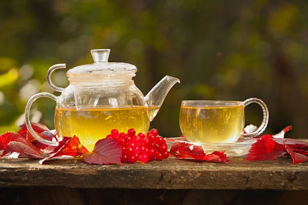 Green tea in beautiful cup — Stock Photo, Image