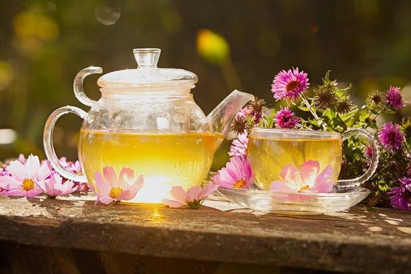 Groene thee in mooie beker — Stockfoto