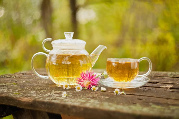 Green tea in beautiful cup — Stock Photo, Image