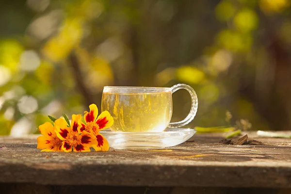 Green tea in beautiful cup — Stock Photo, Image