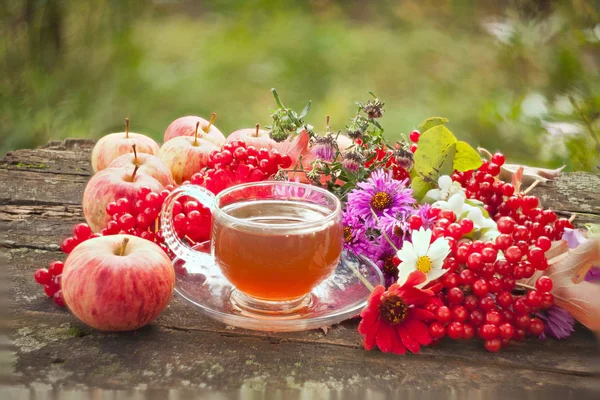 Té verde en una hermosa taza — Foto de Stock