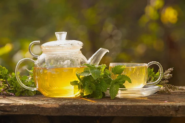 Chá verde na bela xícara — Fotografia de Stock