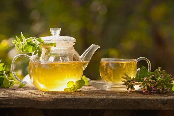 Thé vert dans une belle tasse — Photo