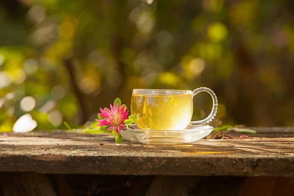 Té verde en una hermosa taza — Foto de Stock