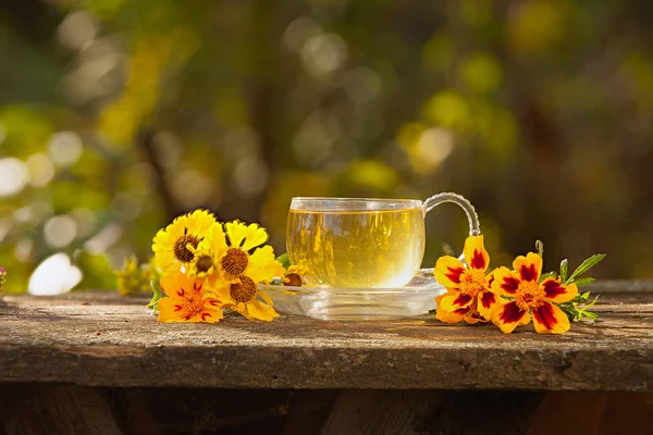 Grüner Tee in schöner Tasse — Stockfoto