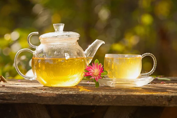 Green tea in beautiful cup — Stock Photo, Image