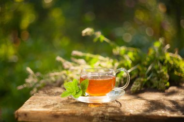 Güzel fincanda yeşil çay