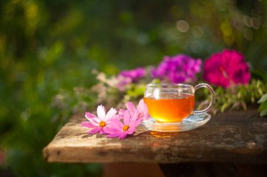 Güzel fincanda yeşil çay