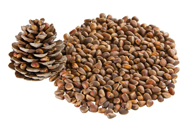 çam fıstığı ve çam kozalağı ahşap tablo