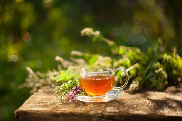 Té verde en una hermosa taza — Foto de Stock