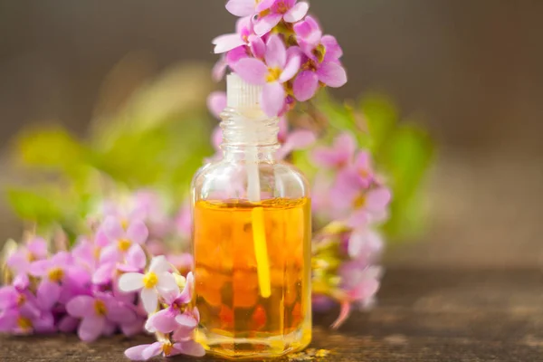 Эфирное масло Арабис цветок на столе в красивой бутылке — стоковое фото